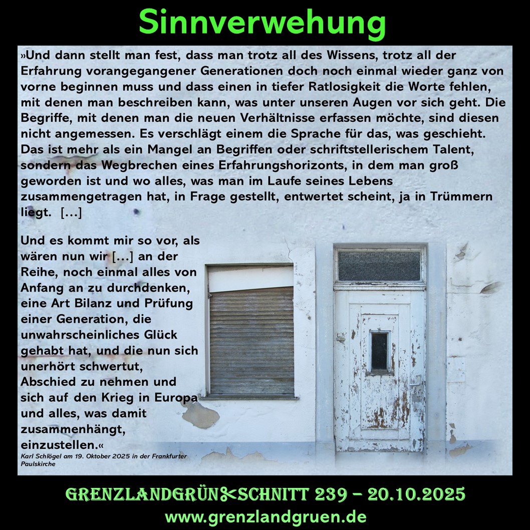 239 Sinnverwehung.jpg